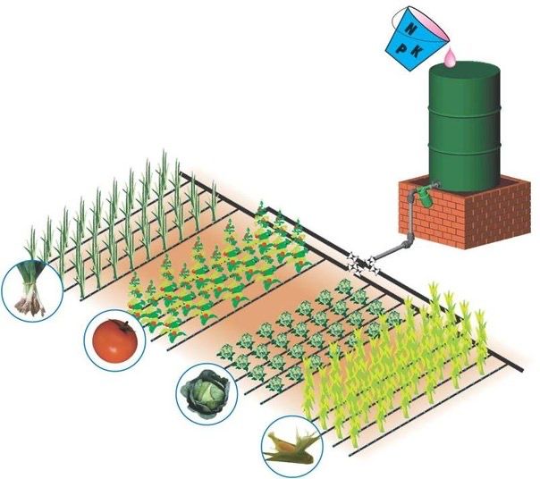 Irrigation system design plan