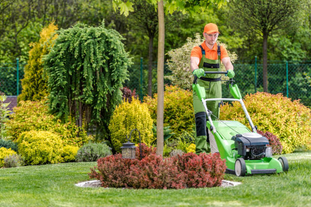 Gardener pruning and maintaining garden