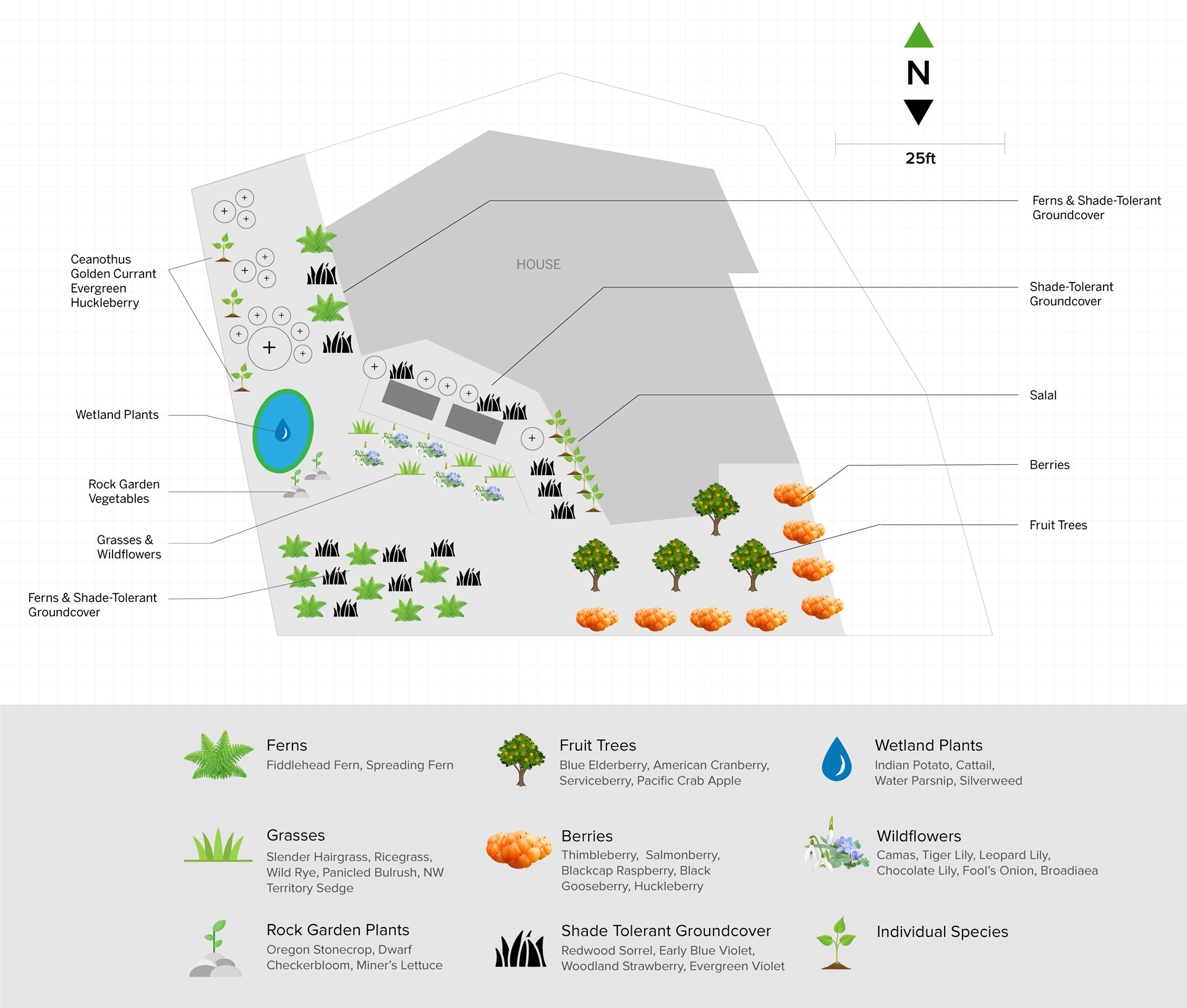 Landscape design drawing with plant layout